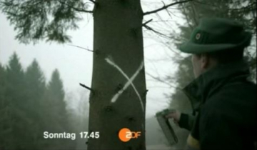 ZDF Wahlen Sachsen 2011
